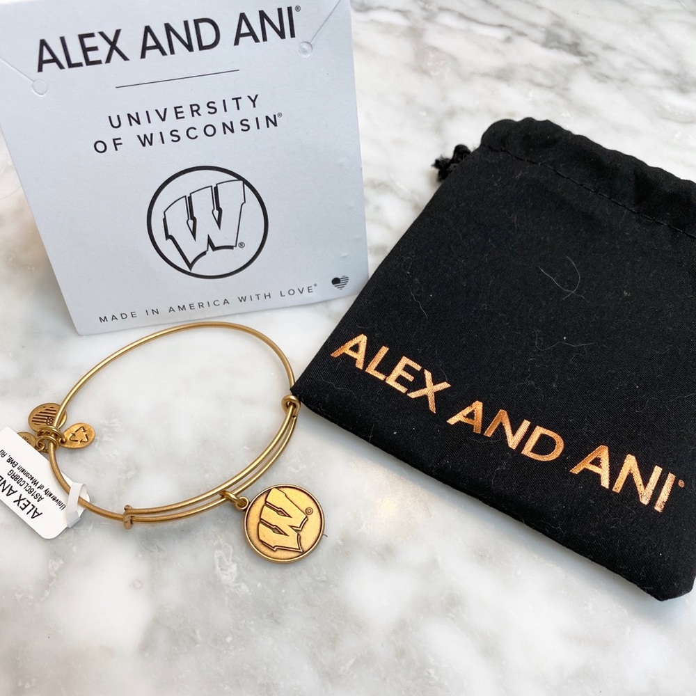 Wisconsin Logo Alex and Ani Bracelet